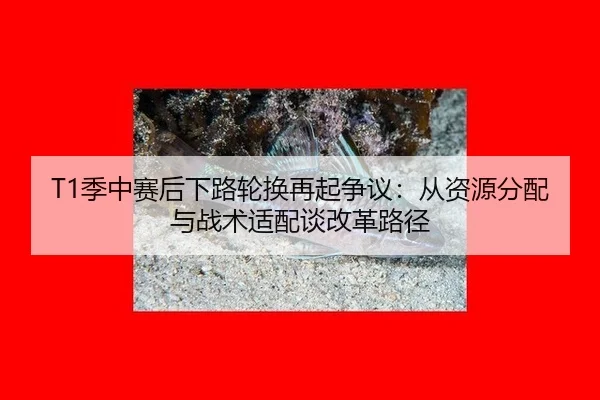 T1季中赛后下路轮换再起争议：从资源分配与战术适配谈改革路径