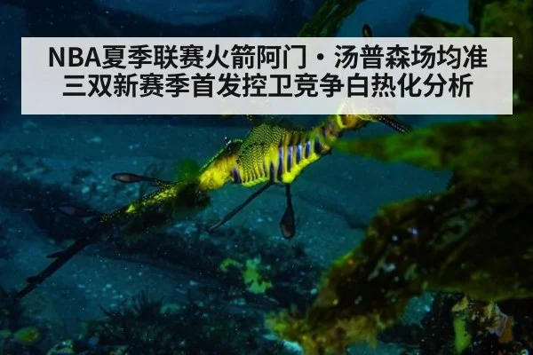 NBA夏季联赛火箭阿门·汤普森场均准三双新赛季首发控卫竞争白热化分析