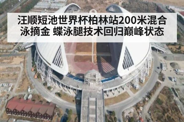 汪顺短池世界杯柏林站200米混合泳摘金 蝶泳腿技术回归巅峰状态